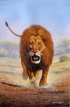 アフリカからライオンを前進させるマグウェ Oil Paintings